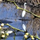 탱자네민박 이미지