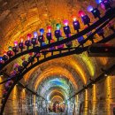 문경 오미자테마터널 이미지