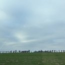 오페라 | [브로츠와프] 오페라 <박쥐> 후기