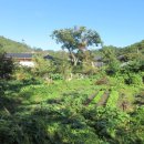 수당구장(1009) 이미지