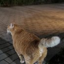 거양길-7 이미지