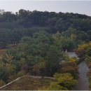 광교갤럭시공인중개사사무소 이미지