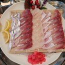 씨유제주진군행복점 | [제주시 회 맛집] 초2 아이 입맛까지 사로잡은 20년...다녀온 노형동 횟집 &lt;회미리마트🐟&gt; 모둠회 리얼후기