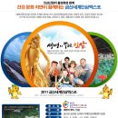 금산홍삼엑스포