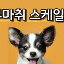 대심동물병원 이미지