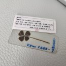 펠레리꼬 - 남양주시 마석로26번길 51-4 | 펠레리꼬