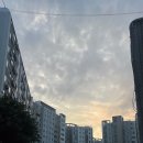 권선중앙공원 배드민턴장