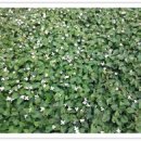 영진농장 이미지