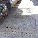 삼룡이농장