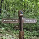 7월 28일 경기도 가평의 명산 어비산을 산행함 이미지