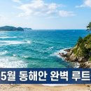 포항회가든 | 2026 5월 동해안, 초당순두부부터 서피비치까지 완벽 루트