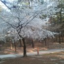 부동농장2 이미지