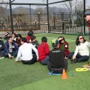 첼로와 거문고 이미지