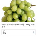 제이투글로벌