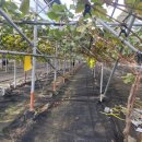 서준농장 이미지