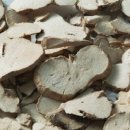 경희팔팔한의원 이미지