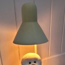 비숑이즈 이미지