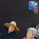 회시농장 이미지