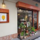 플랜티스트 이미지