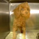 경동레미콘 이미지