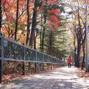 목동동로1길 이미지