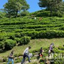 구재봉자연휴양림 이미지