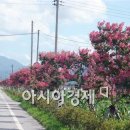 요천로(17호선) 아시아경제