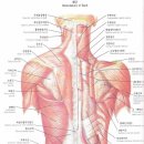 염기룡한의원 이미지