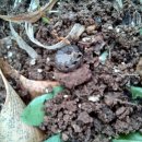 뽑기좋은날 이미지