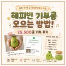 🍀 해피빈 기부콩 모으는 방법! 25,500콩 기부 후기, 하루 한 번 글 작성만으로도 가능