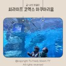 양천구청 지하출입구 옆 | 서울 아이랑 실내 나들이 씨라이프 코엑스 아쿠아리움 주차 할인 꿀팁! (+추천 주차 출입구)