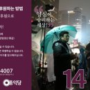 홍익당 이미지