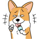 벵삭