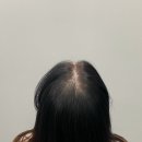 더그리다 - 부산진구 중앙대로 630-1 | 더그리다