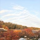 인천지하철1호선 문학경기장역 | 서울 근교 단풍 명소 인천 카페 투썸플레이스 문학점 11월 둘째주 평일 방문 후기