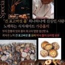 홀식자재마트