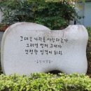 하모니카로 건강과 행복을 누려요 | 대구경북흥사단 2024년 송년 월례회 참석 후기