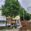 초읍동-16 | 부산 시민공원맛집 주차가능한 서면 초읍동 스시 효탄 방문후기