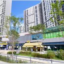 지제약국 이미지