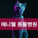 애니웰 동물병원 이미지