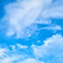 야옹하다 이미지