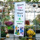 구청 남측광장 이미지