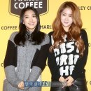 보라농장2 이미지