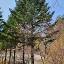 리얼다이어트캠프 이미지