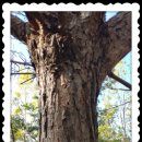 지산목장 이미지