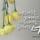 아람드리