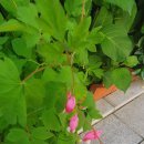 은혜와진리교회 앞 이미지