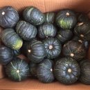 이병용 농장 이미지