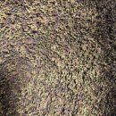 자연가습 이끼 테라리엄 | 자연과휴 | 집에서 꾸려보는 공기정화이끼 테라리움 후기