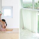 스테이인그로브
